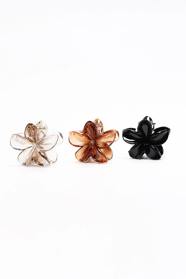 Broches x 3 - ac-46445