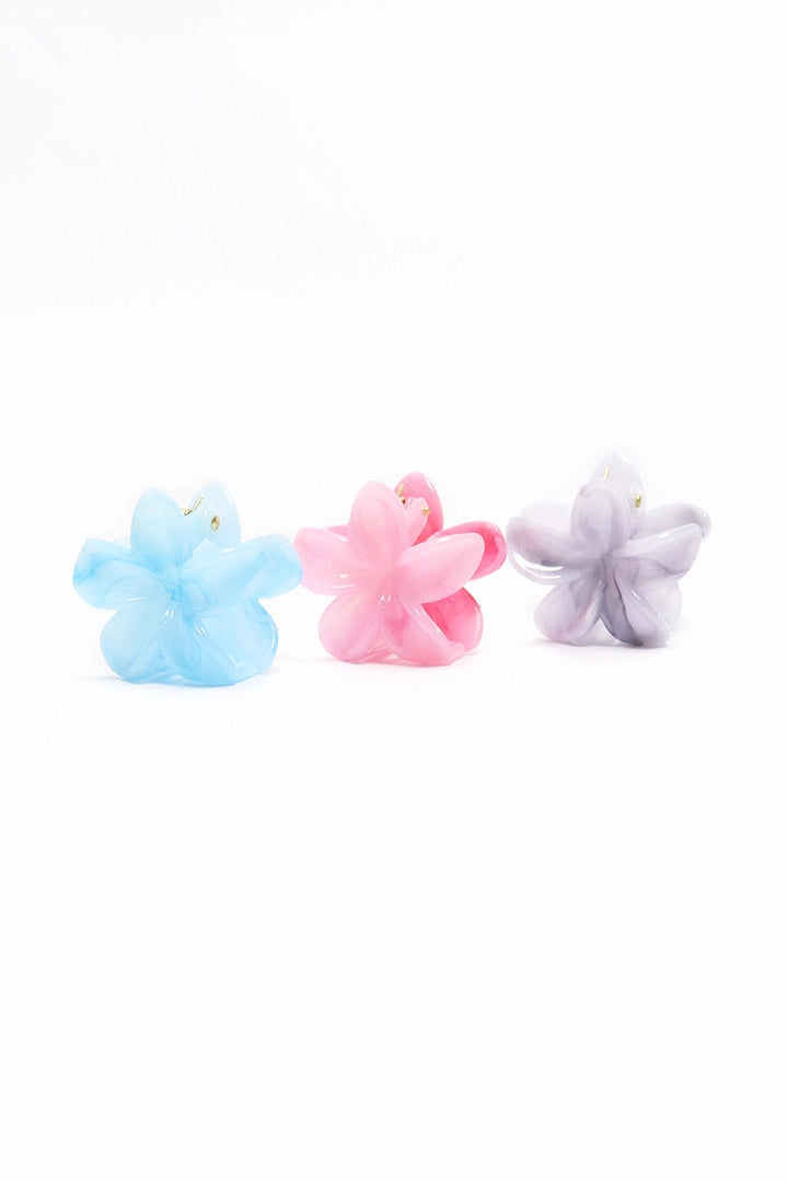 Broches x 3 - ac-46446