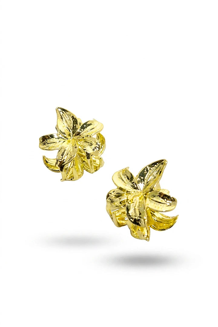 color #Dorado