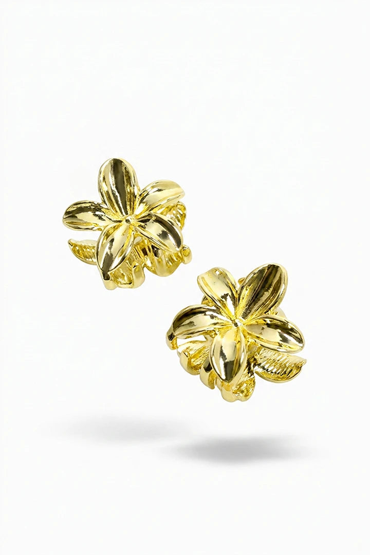 color #Dorado