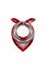 color #Rojo