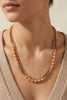Collar - co-15713