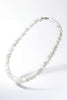 Collar - co-16002